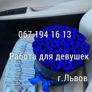 Работа во Львове