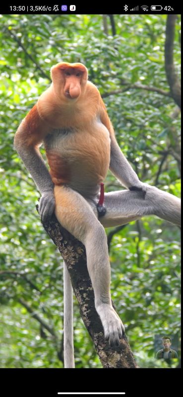 Lviv escort : Hristina - photo 1