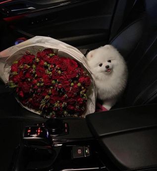 Escort Lviv : Krasotkam💵 - photo 1